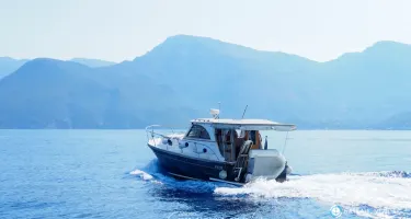 Zeta Group Goldstar 320