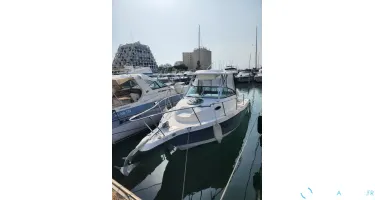 Seaswirl Striper 2301 Walkaround