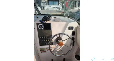 Seaswirl Striper 2301 Walkaround