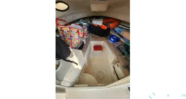 Seaswirl Striper 2301 Walkaround