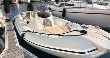 Black Fin Elegance 8