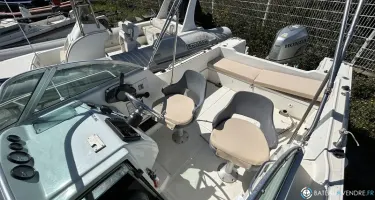 White Shark  226