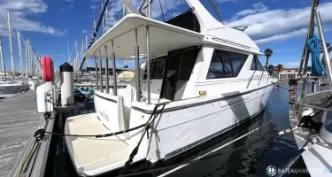 Bayliner  3988