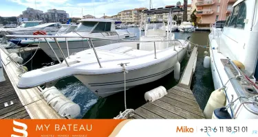 White Shark  225