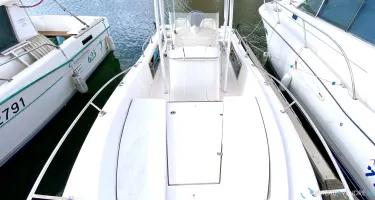 White Shark  225