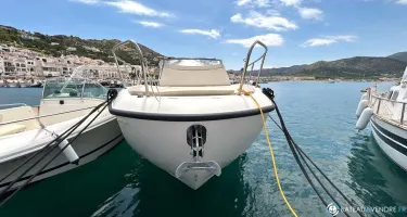 Quicksilver Activ 875 Sundeck