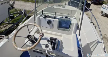 White Shark  175