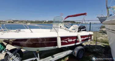 White Shark  175