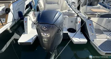 White Shark  280 CC Evo