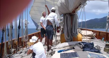 Alexander Stephen  Sons Classic Yacht