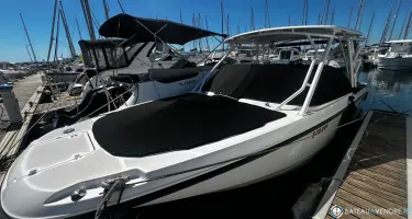 Boston Whaler  270 Vantage