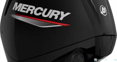MERCURY 100 EFI 