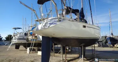 Irwin  41