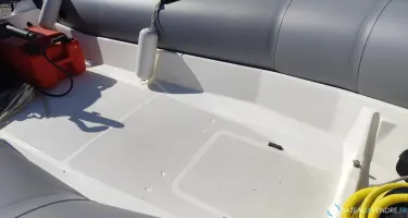 Zodiac Pro II 420