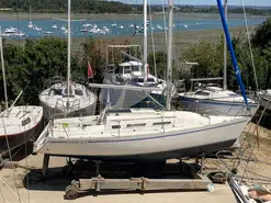 Gib Sea  312