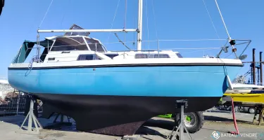 Kirie Fifty 27