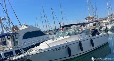 Seaswirl Striper