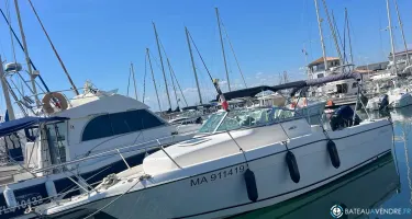 Seaswirl Striper