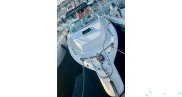 Seaswirl Striper
