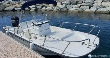 Boston Whaler  170 Montauk