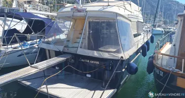 ACM Dynasty 43