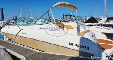 Sessa Marine Islamorada 23