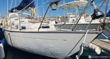 Bianca Yachts Bianca 27