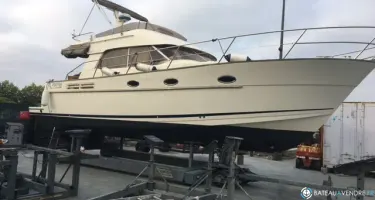 ACM Excellence 38