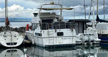 Carver  33 Super Sport