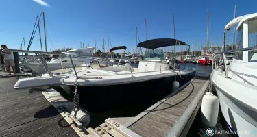 Kelt White Shark 225
