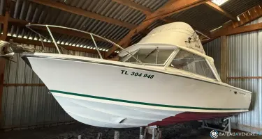 Bertram Riva 25