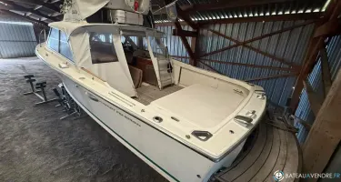 Bertram Riva 25