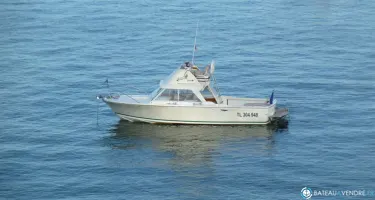 Bertram Riva 25