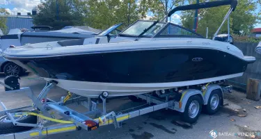 Sea Ray  19 SPX OB