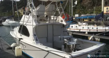 Bertram  28