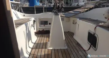 Delphia  29