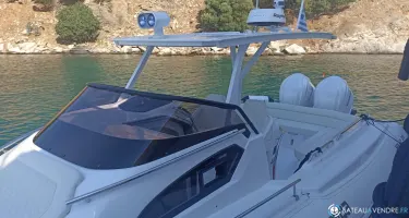 Salpa Soleil 33