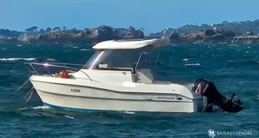 Quicksilver  530 Flamingo
