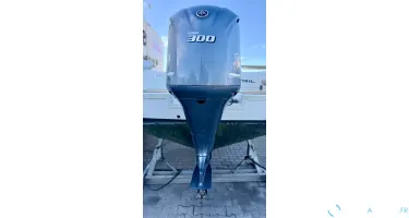 300cv Yamaha 4T 2014