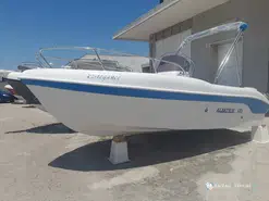Albatros  585