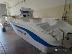 Albatros  585