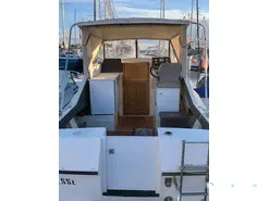 Coronet  26 Family