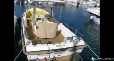 Bellus  750