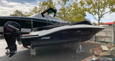 Sea Ray  210 SPX OB