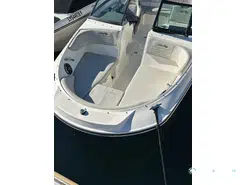 Sea Ray  210 SPX OB