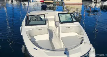 Sea Ray  210 SPX OB