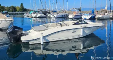 Sea Ray  210 SPX OB