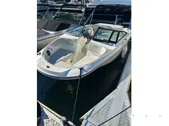 Sea Ray  210 SPX OB