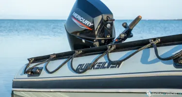 Fourstroke 30 CV EFI