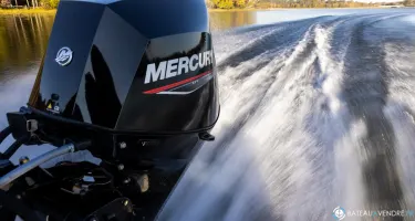 Fourstroke 30 CV EFI